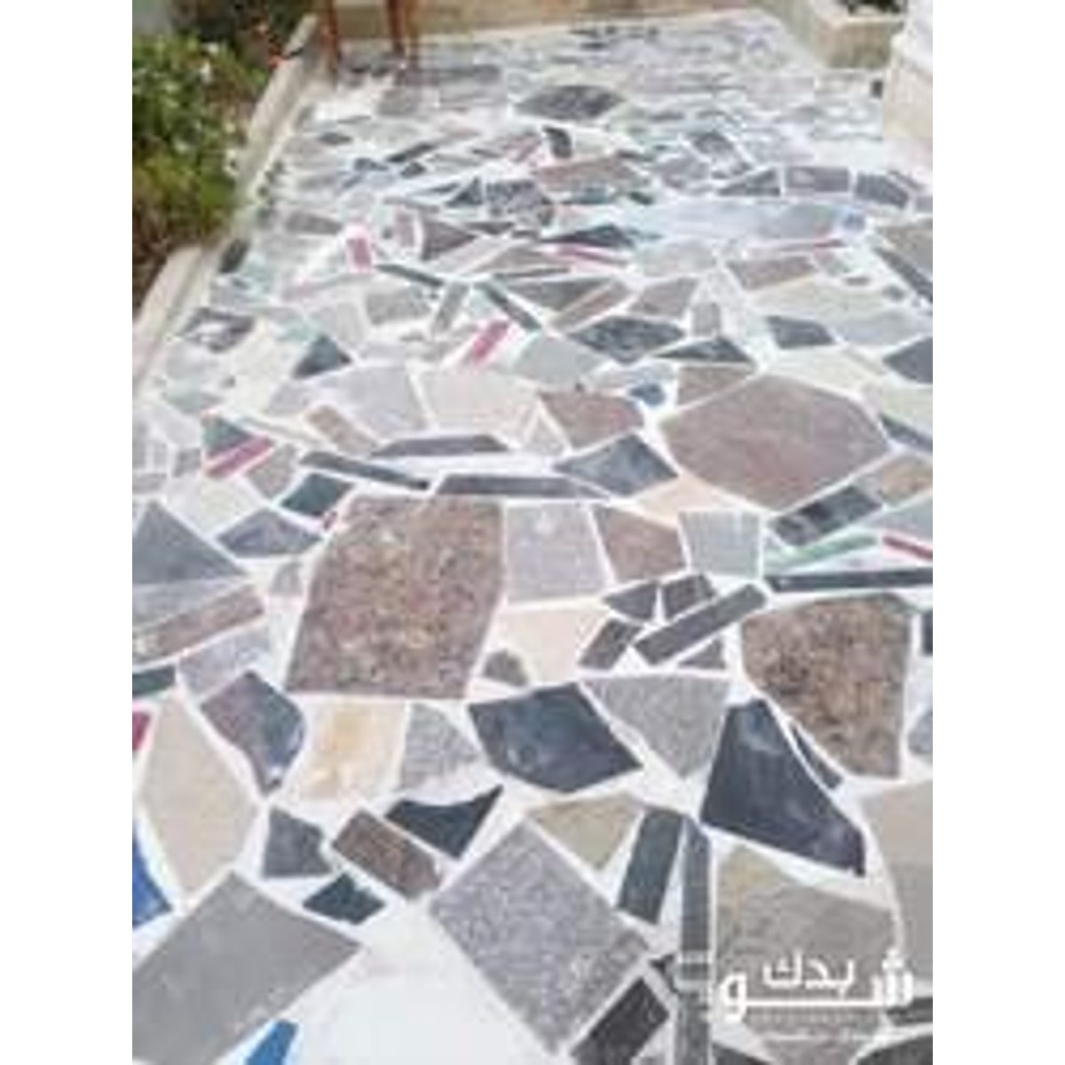 بليط — محمد رجوب