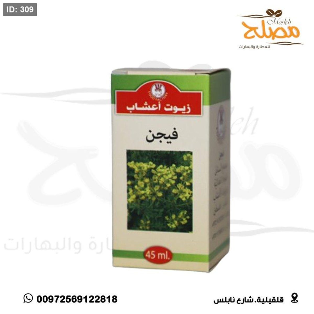 زيت فيجن