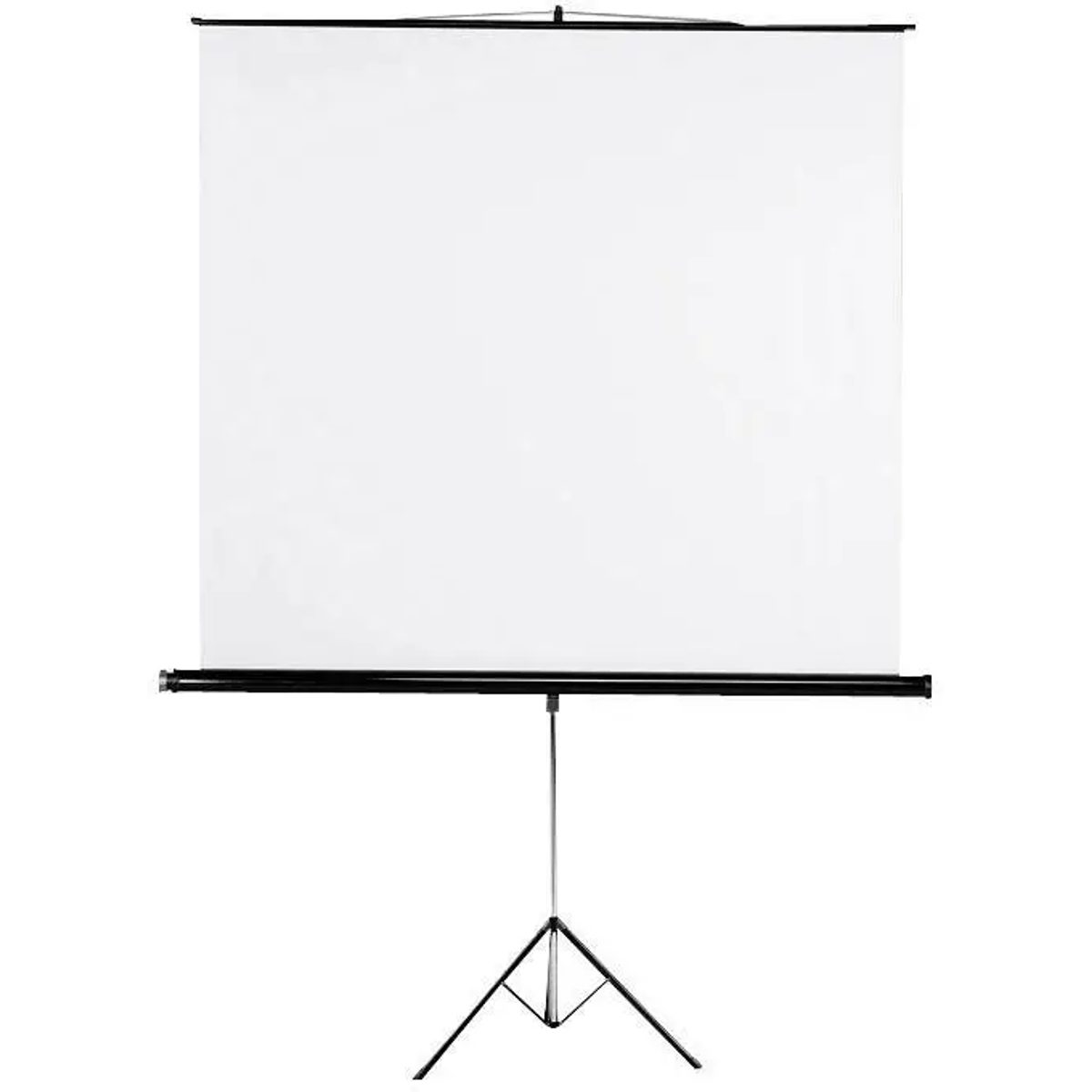 Tripod Projector Screen 180*180cm