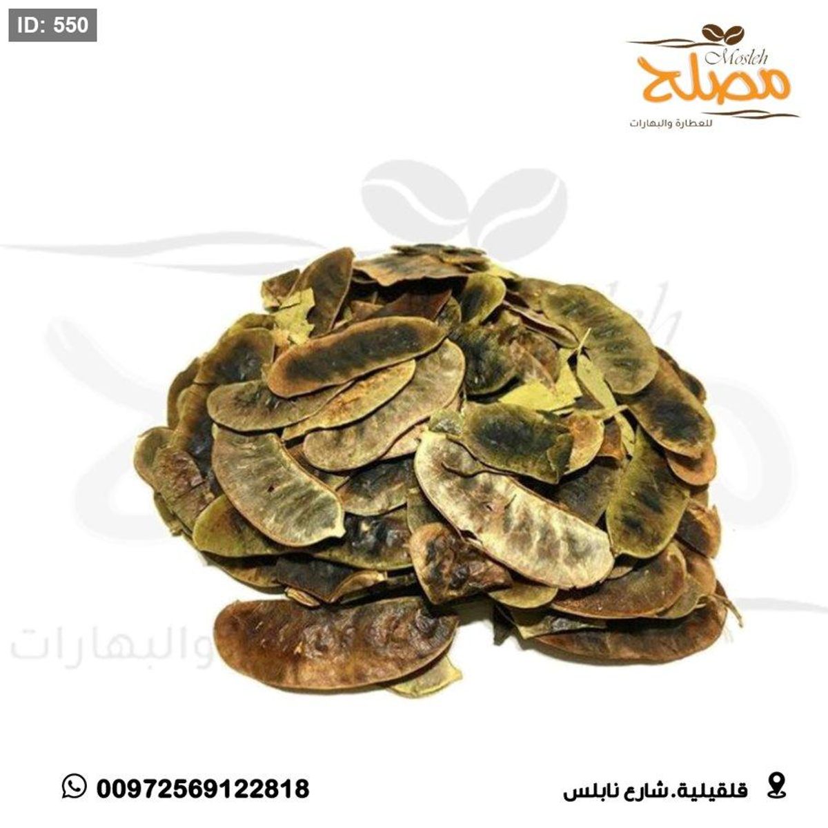 عشرق