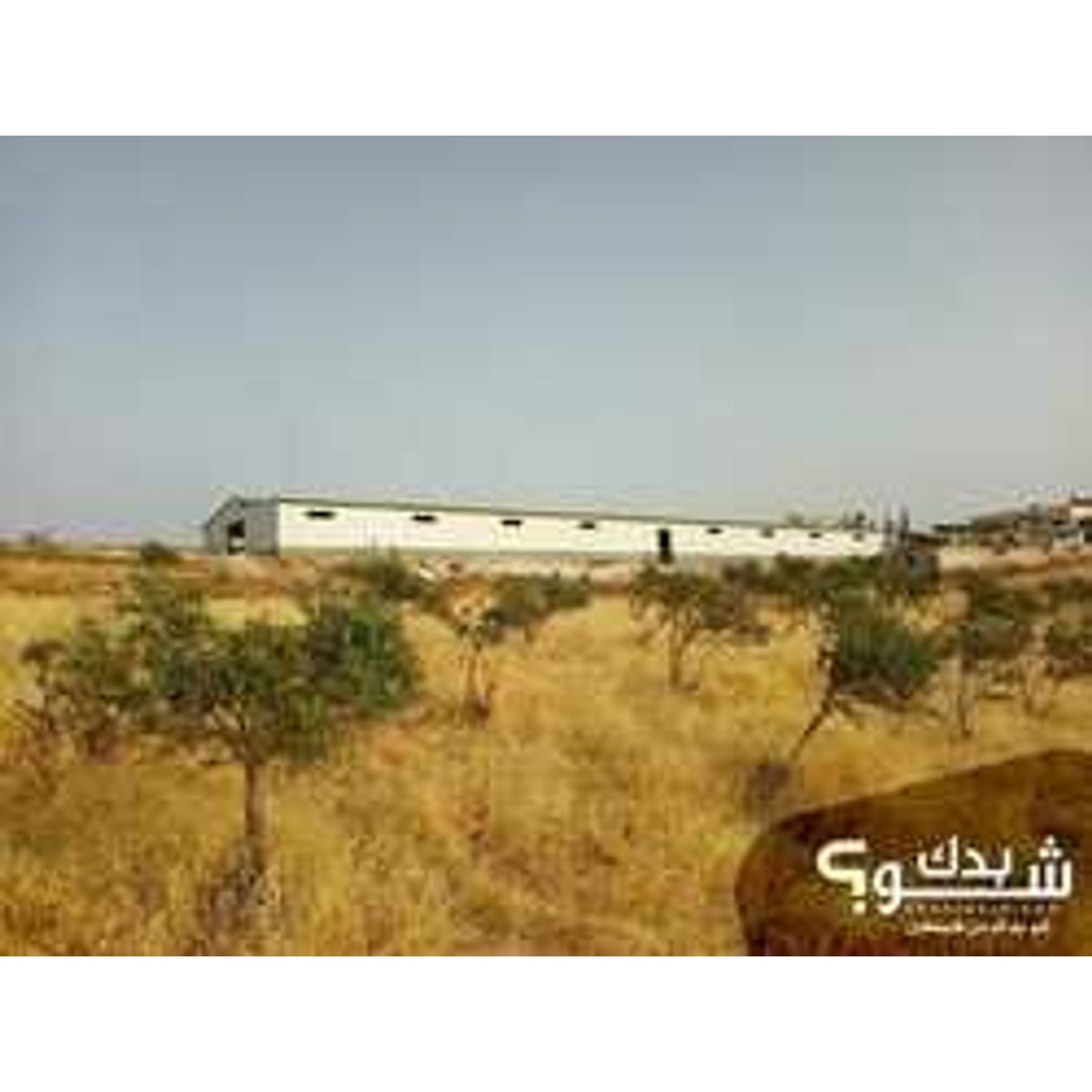 حداد — محمود محاريق