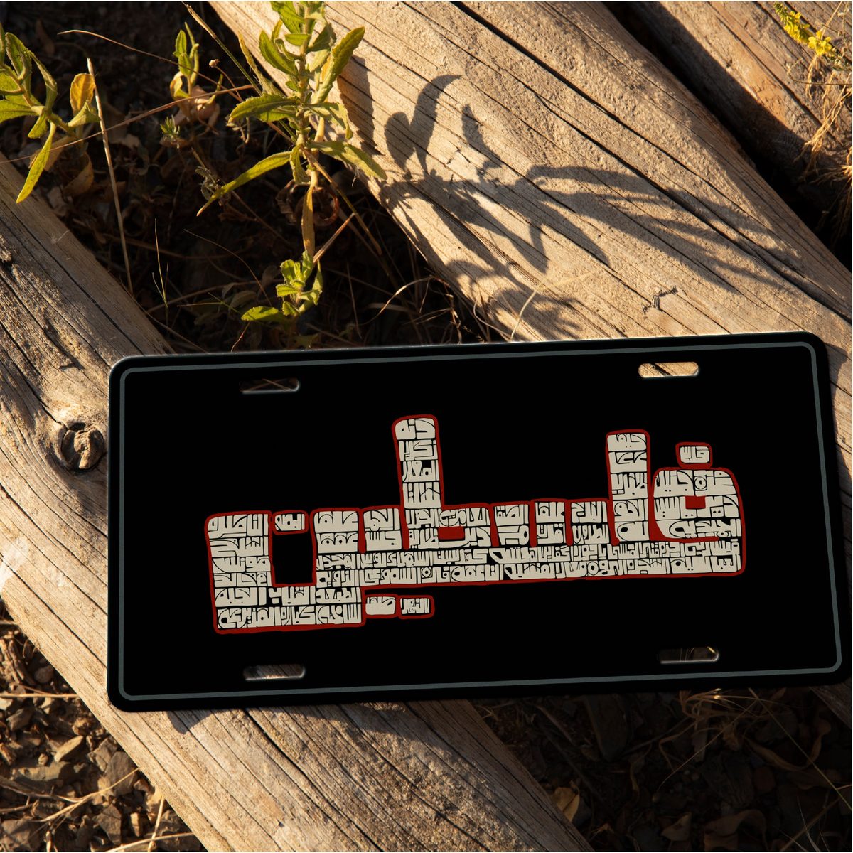 Car Plate - فلسطين