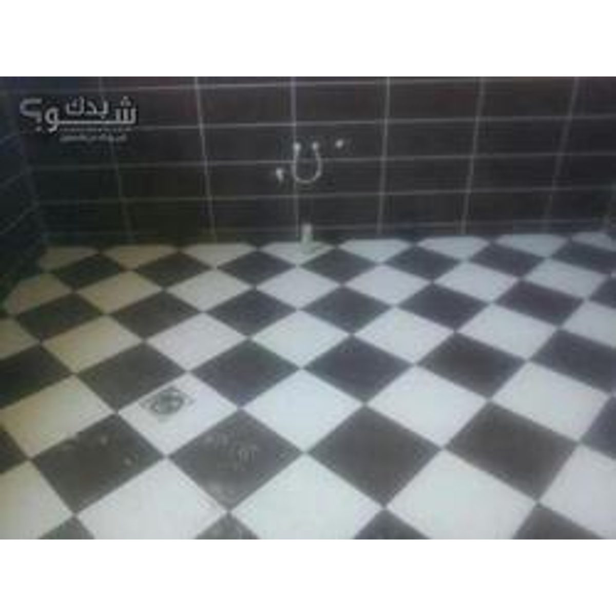 بليط — ناصر المهر