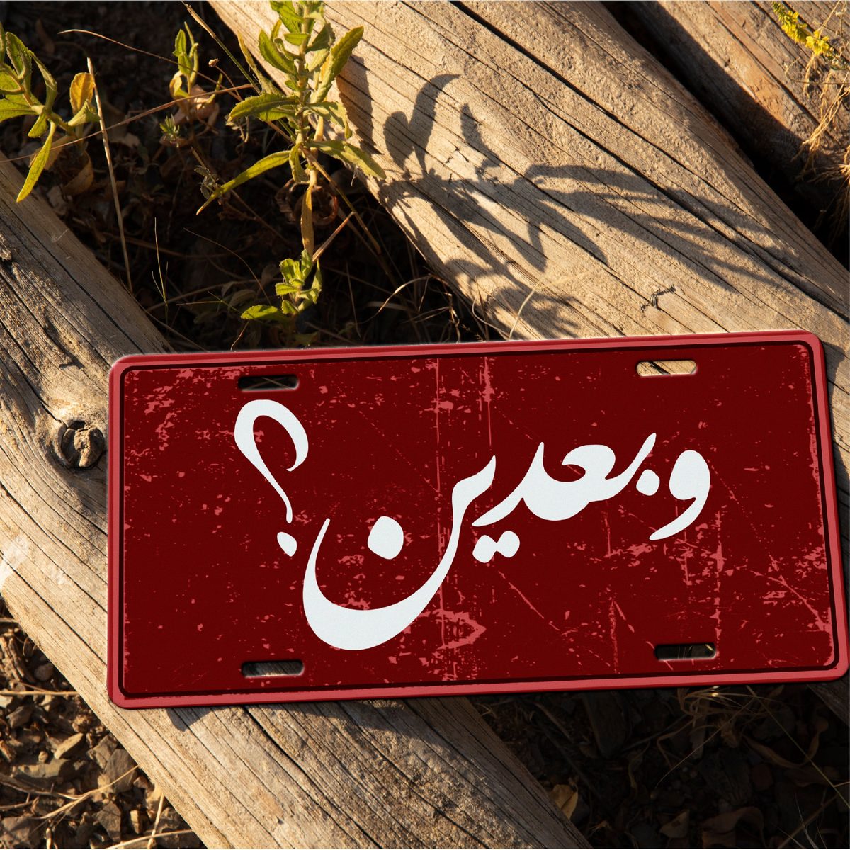 Car Plate - وبعدين؟