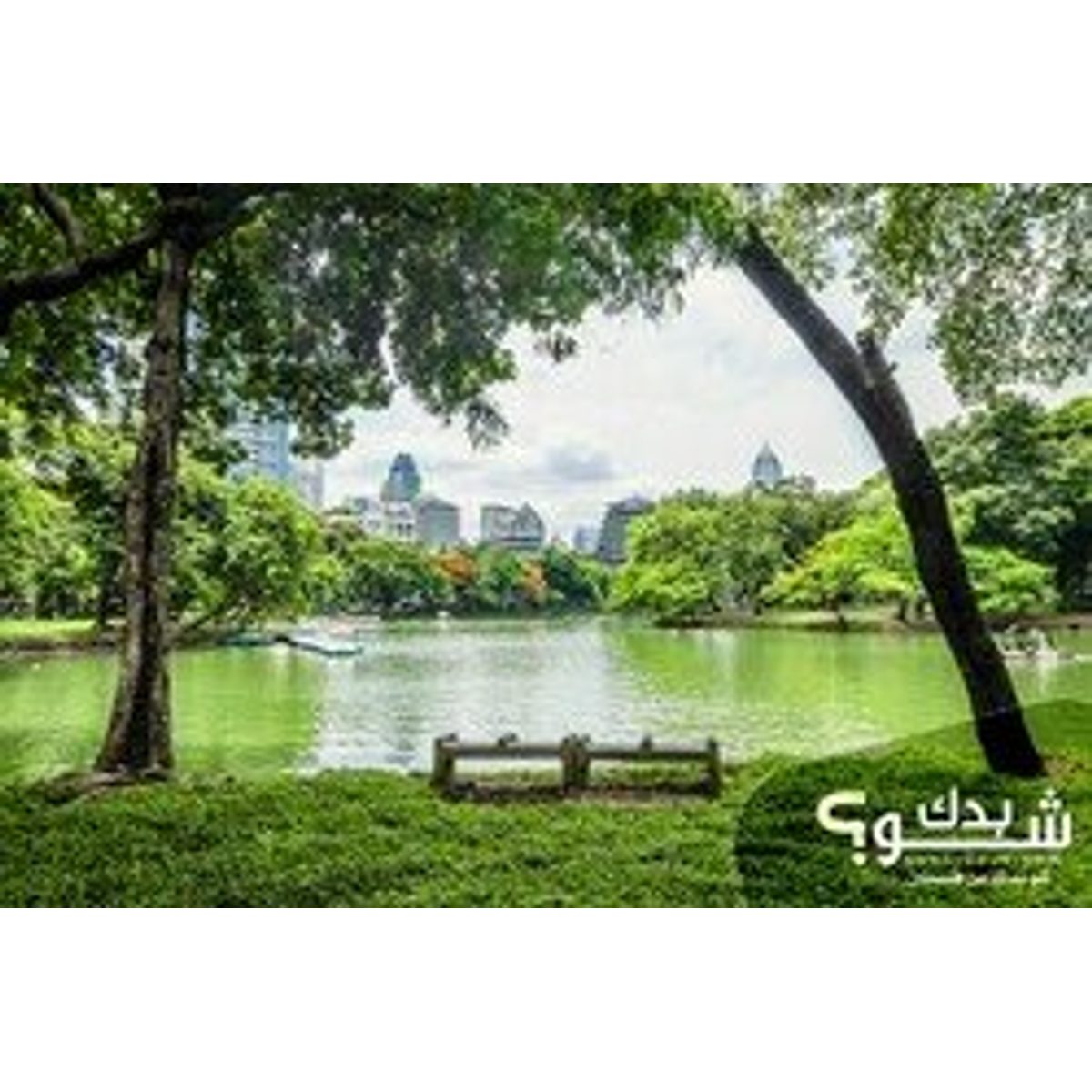 مدرس(ة) — هشام كراجة