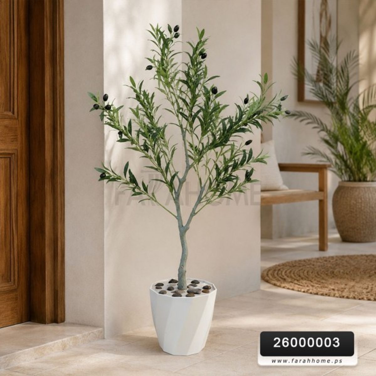 شجرة حب زيتون اخضر 120 سم قوار ابيض
