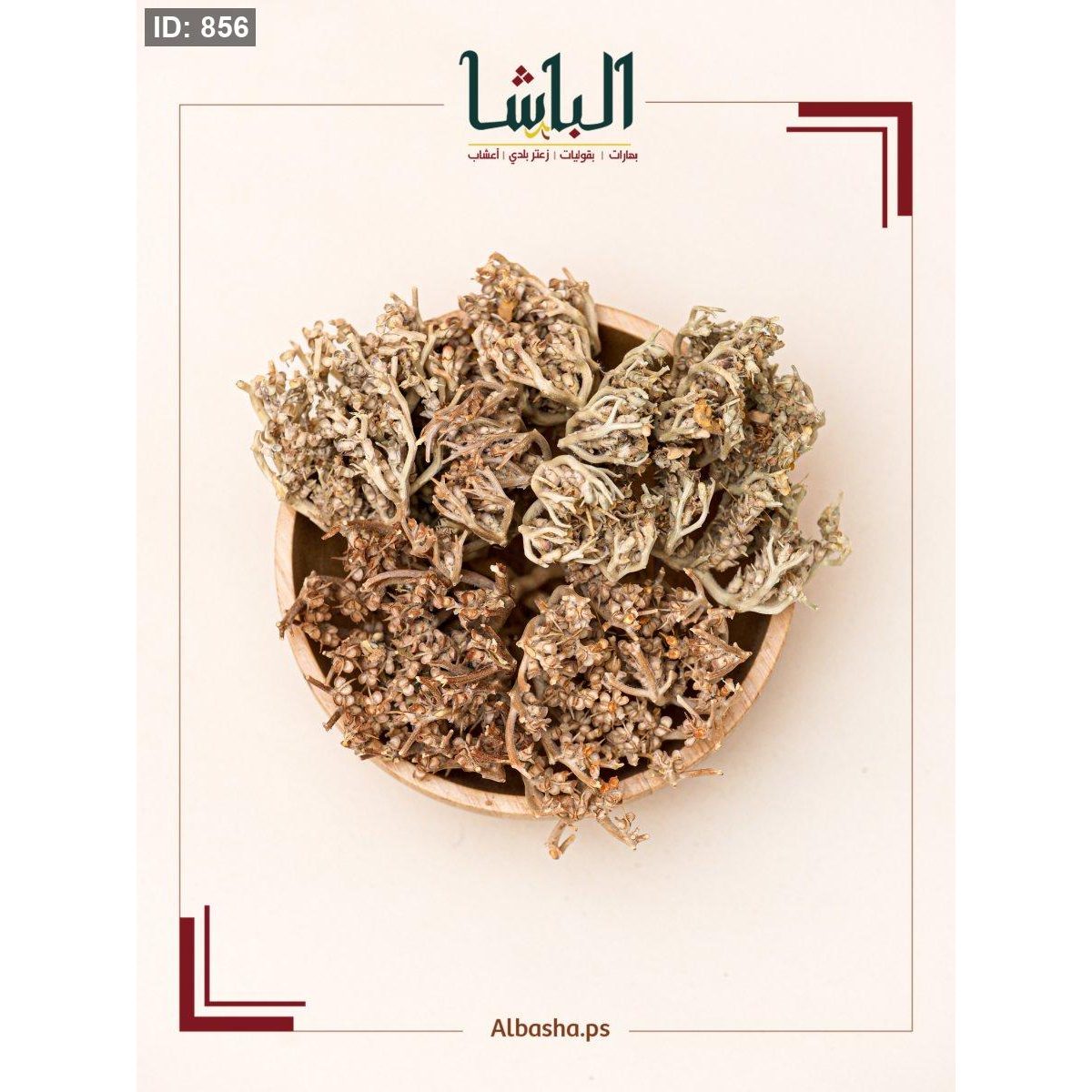 عشبة كف مريم