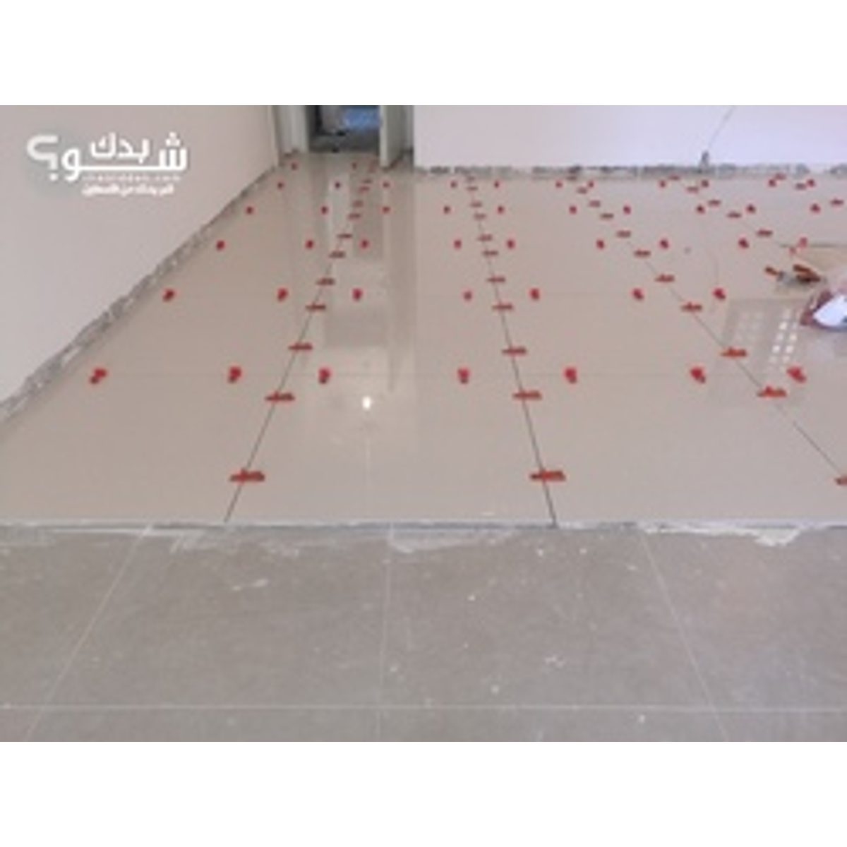 بليط — ابو محمد الجيوسي