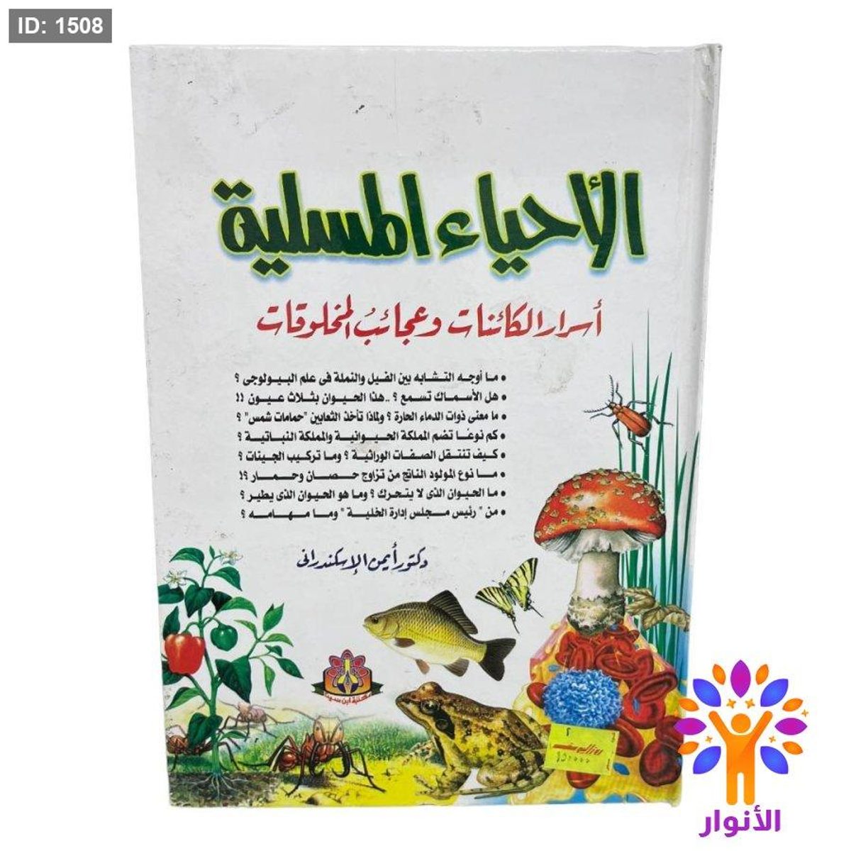 الأحياء المسلية