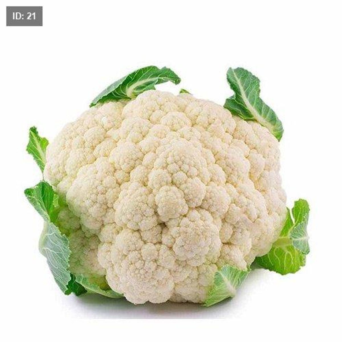زهرة