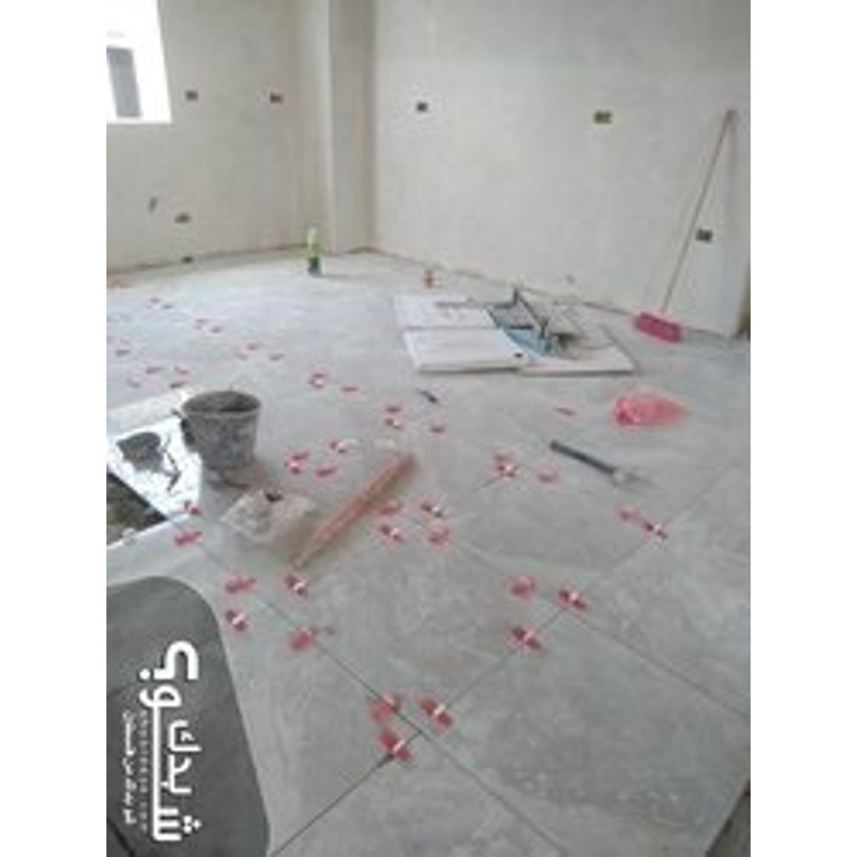 بليط — ابو عدي