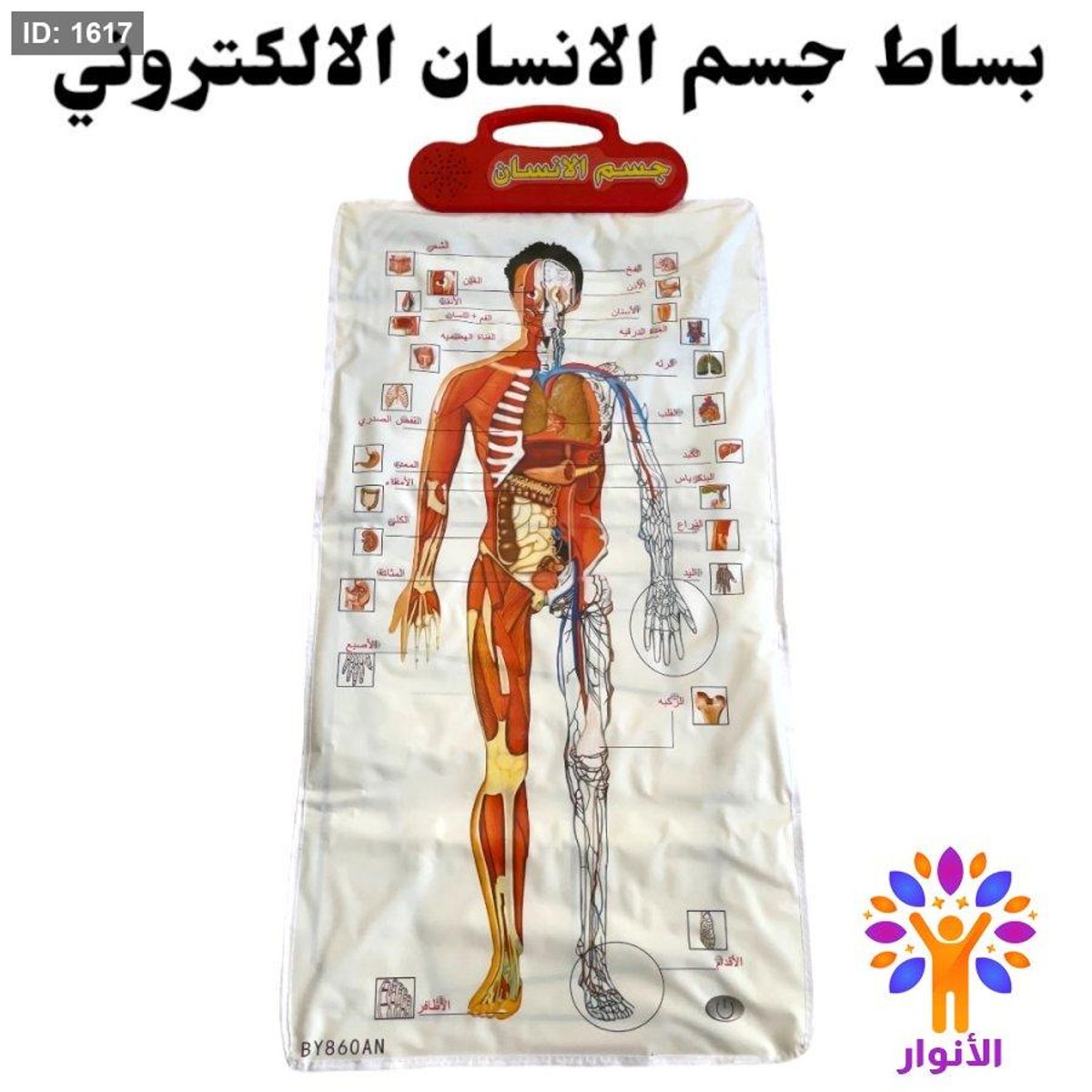 بساط الكتروني - جسم الانسان