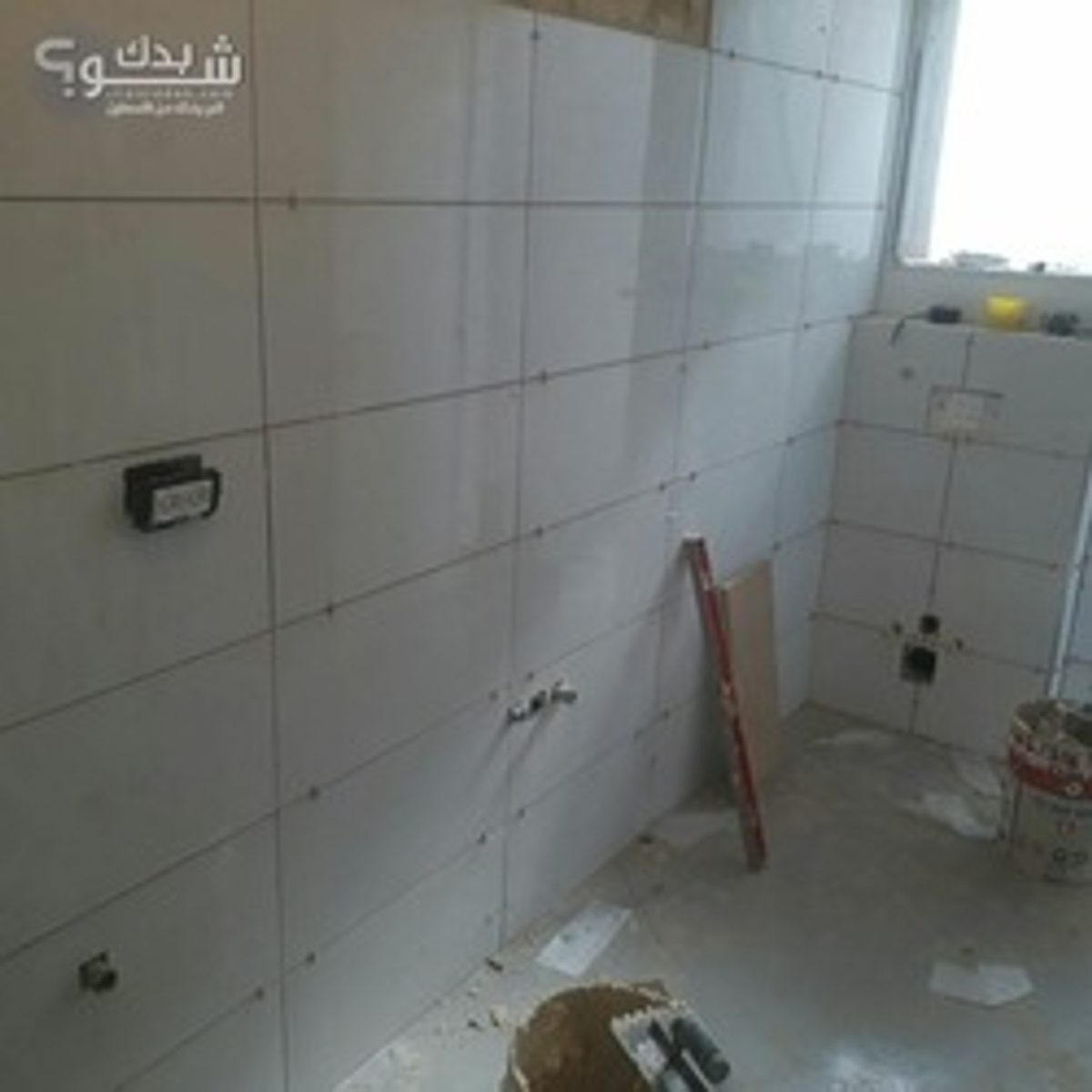 بليط — نصير عودة