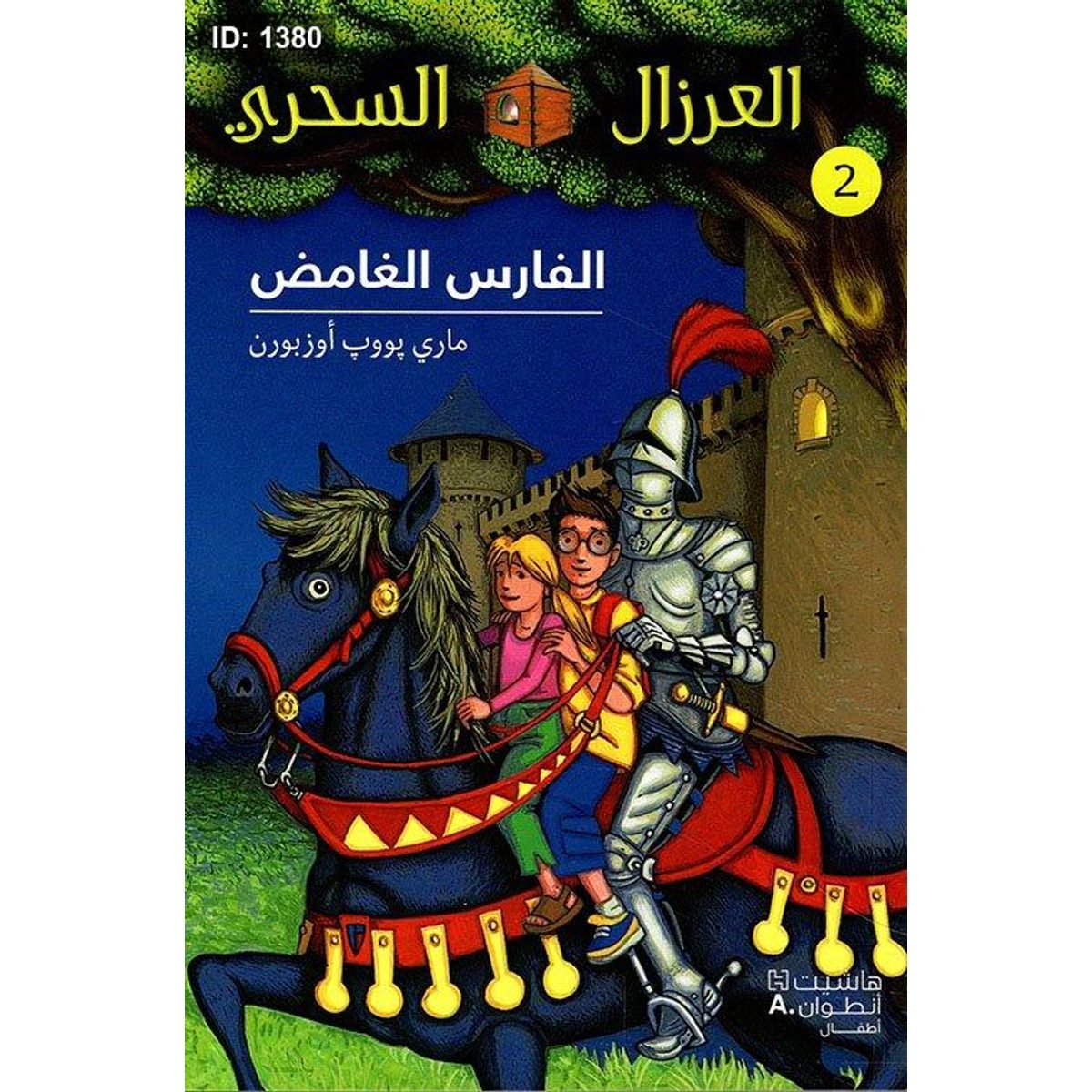 الفارس الغامض