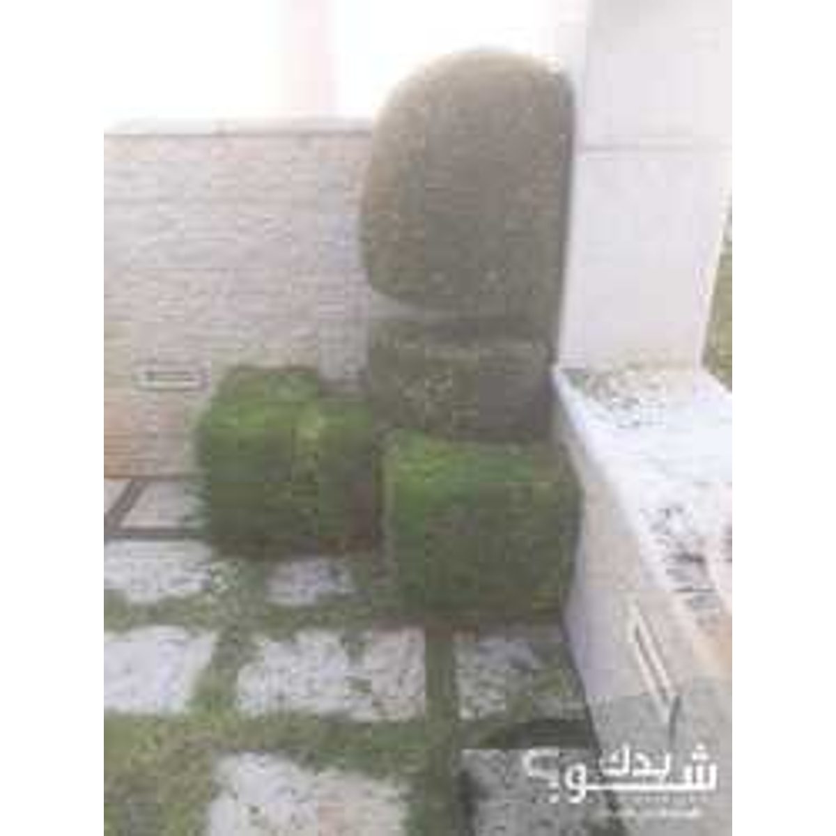فني بساتين / تنسيق حدائق — مجد الملح