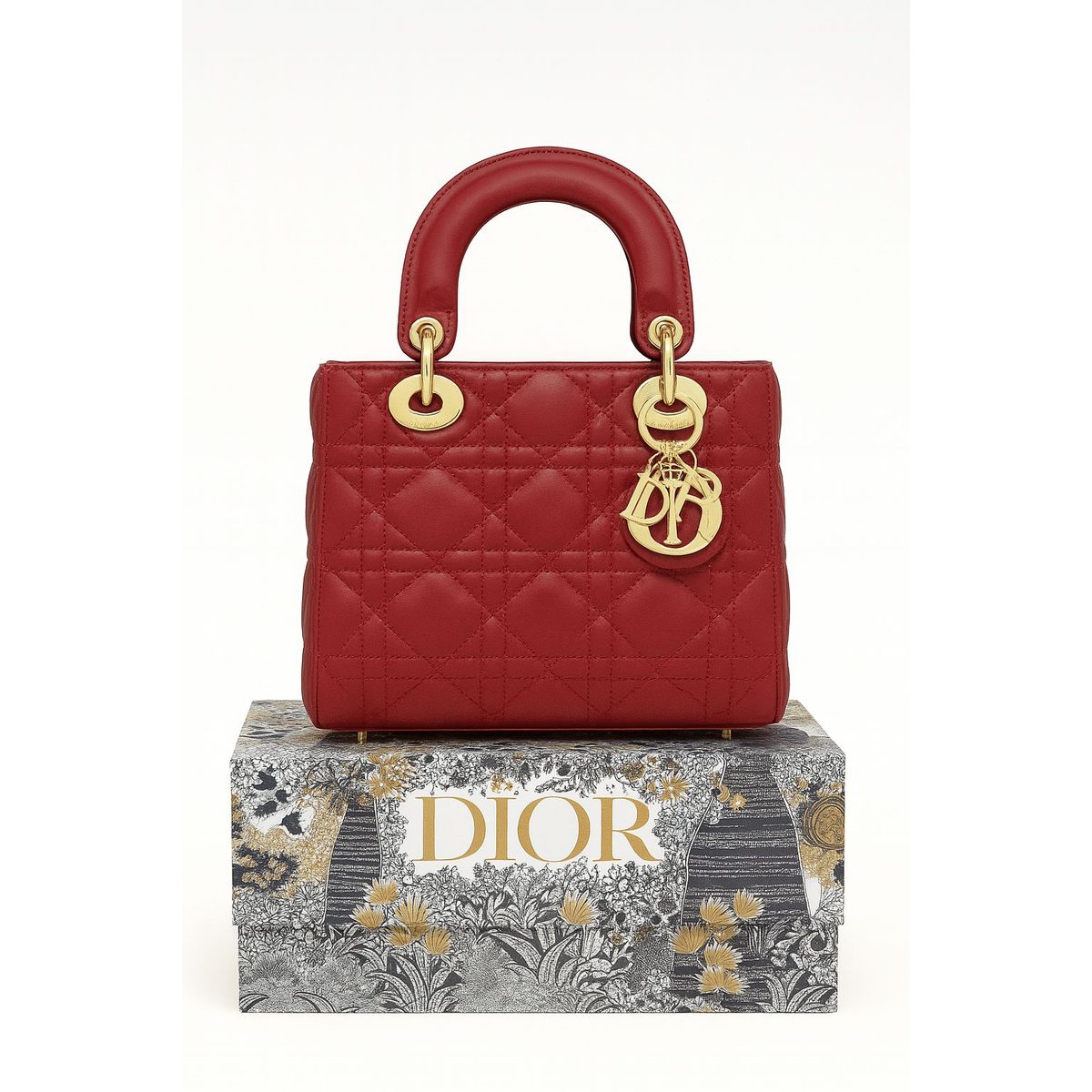 حقيبة أنيقة من مجموعة Lady Dior