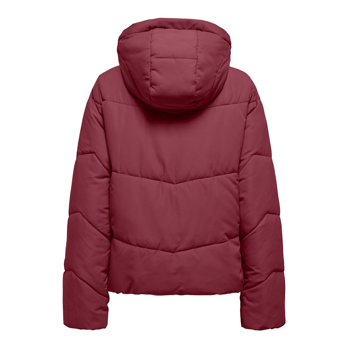 MAGGI SHORT PUFFER 2
