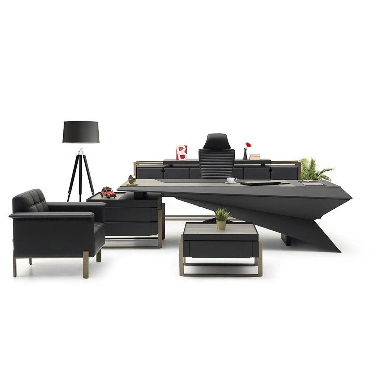 TRIGON - CEO Desks 2