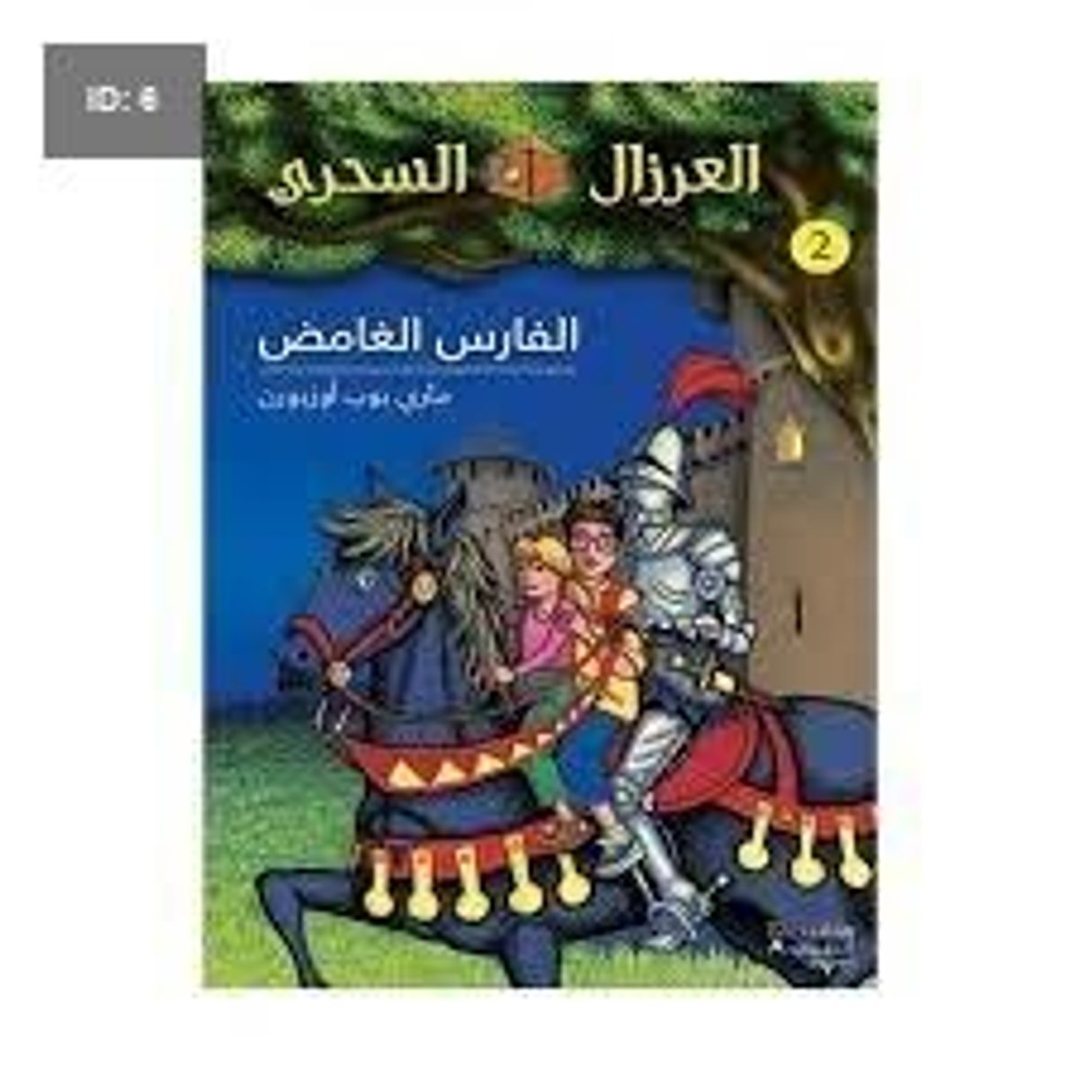 الفارس الغامض