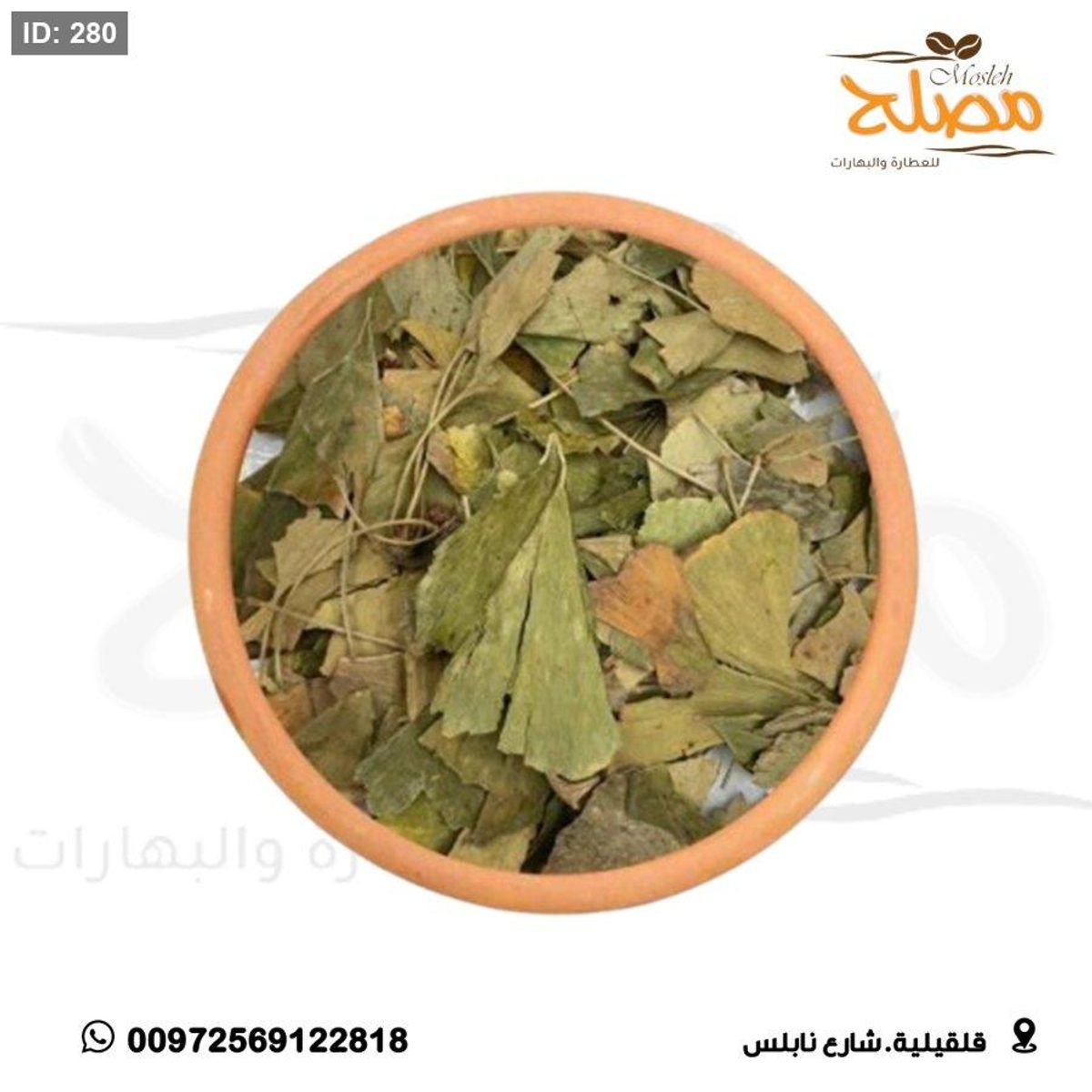 اوراق الجنكا