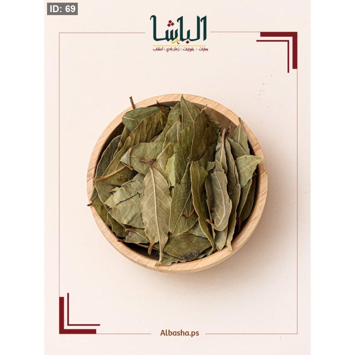 ورق غار