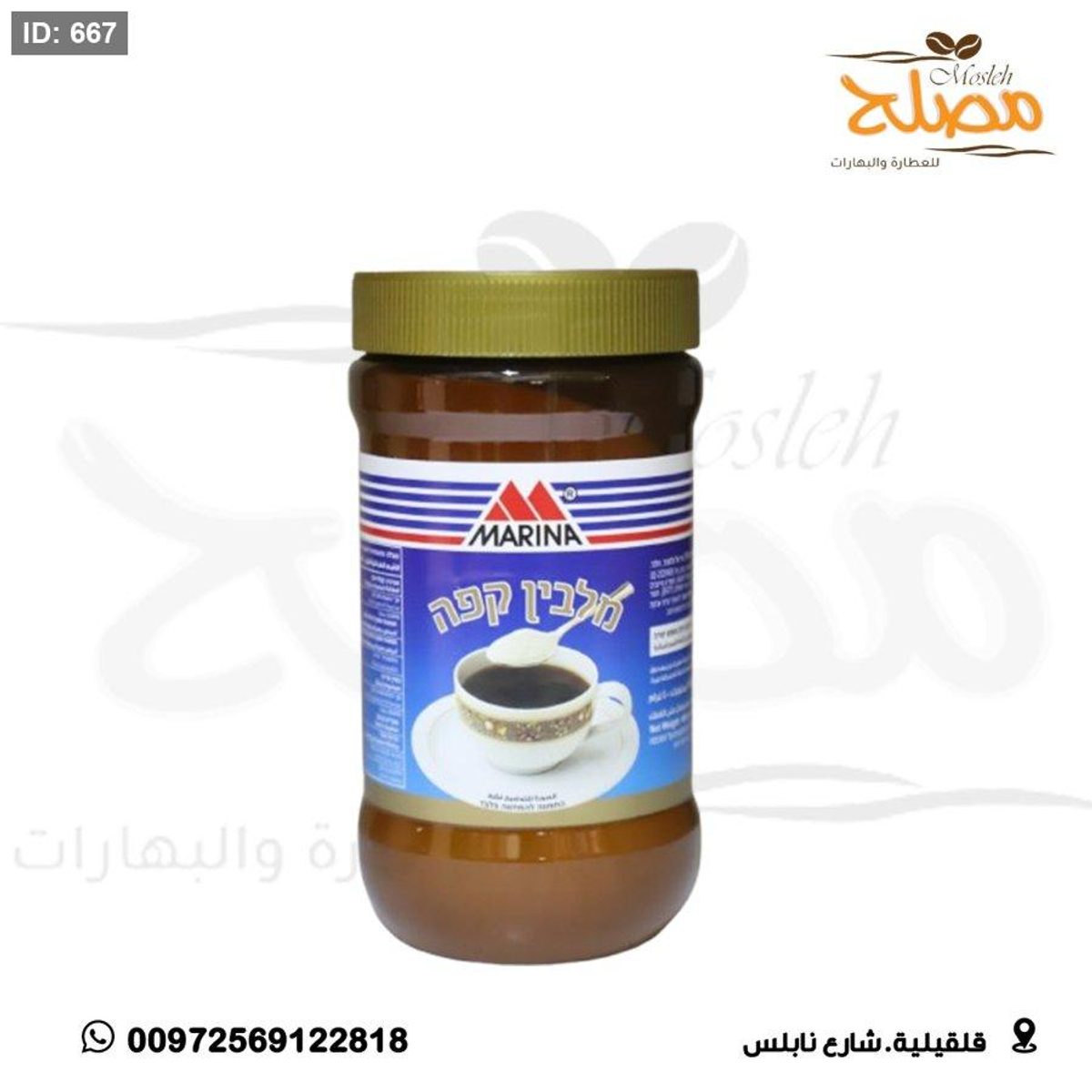 مبيض مرينا