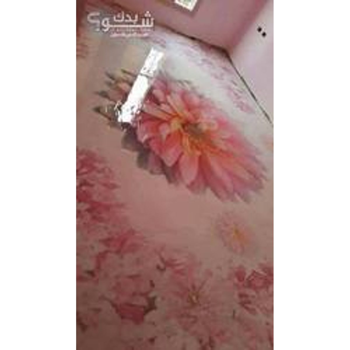 بليط — مؤمن حشايكة