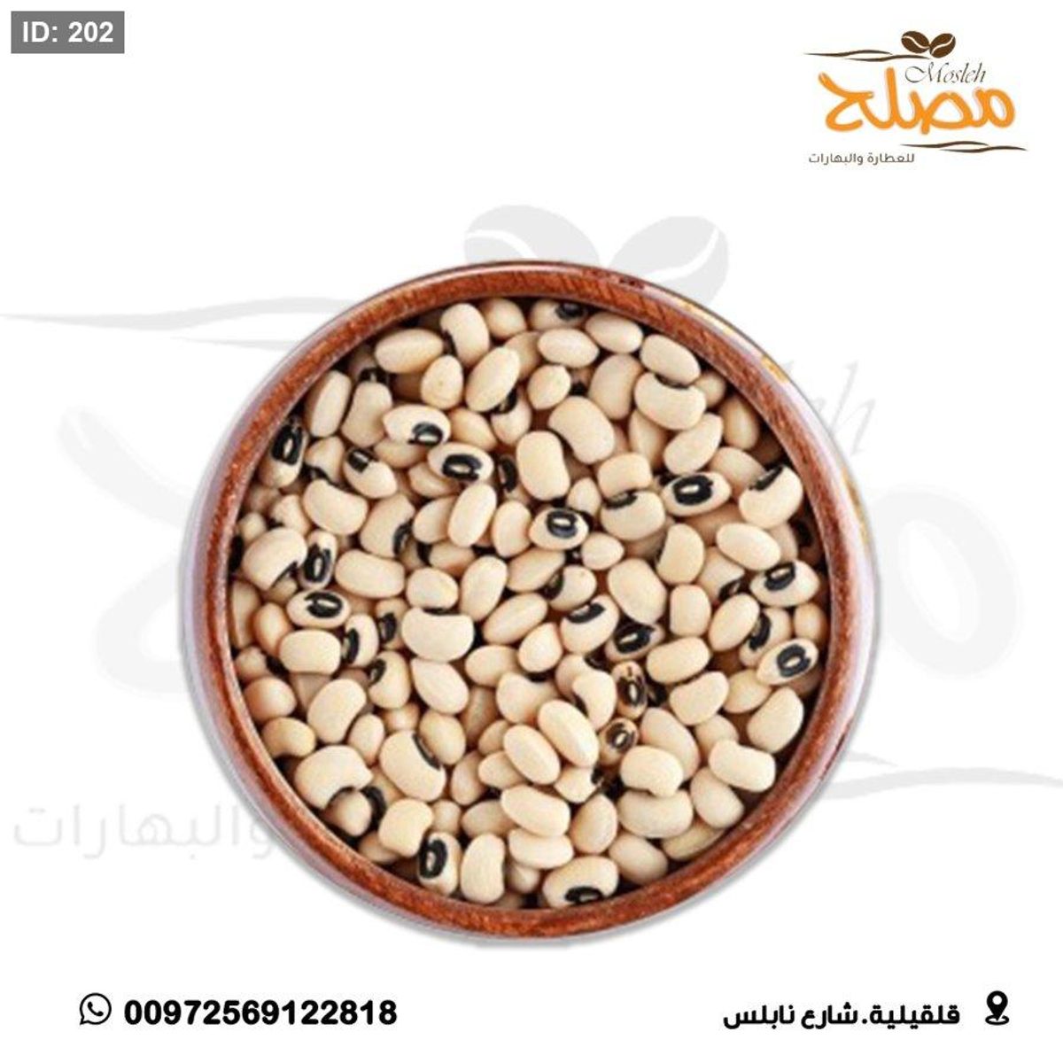 لوبيا