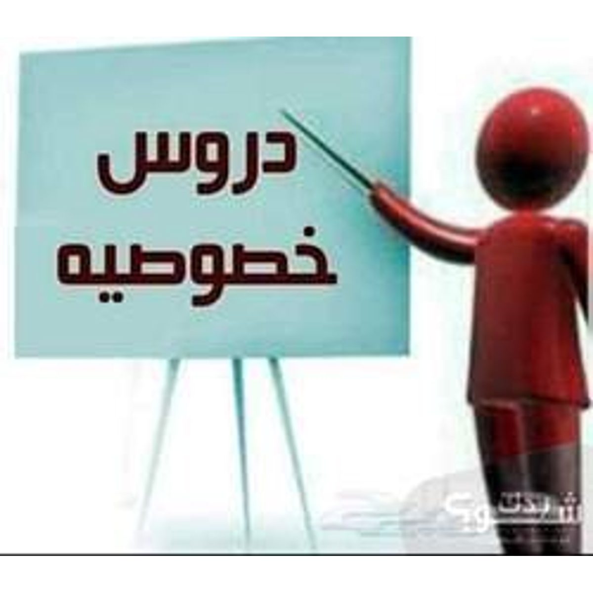 مدرس(ة) — سمر حامد