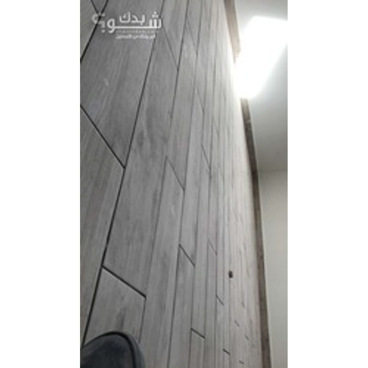 بليط — محمود العملة