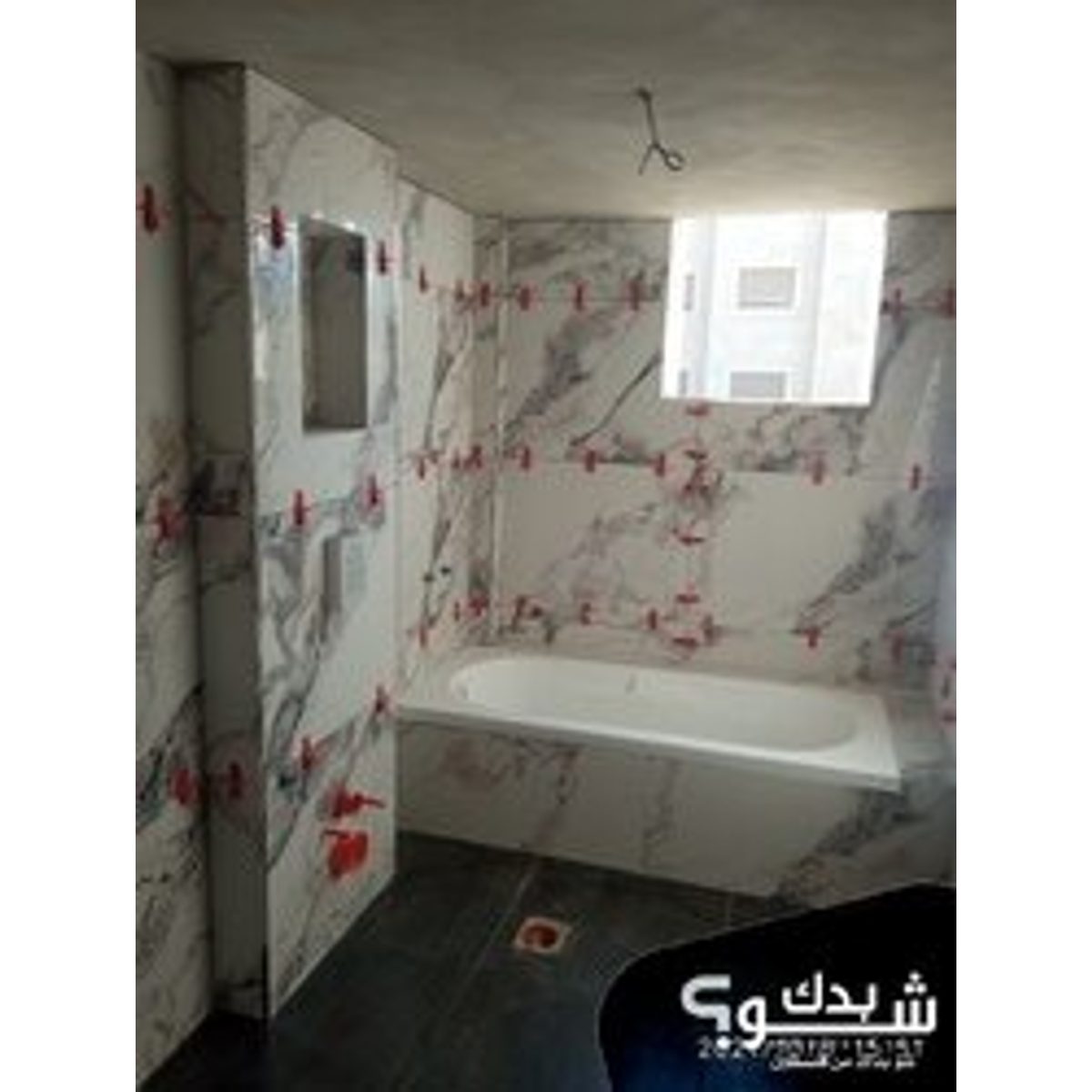 بليط — عاصم الشامي