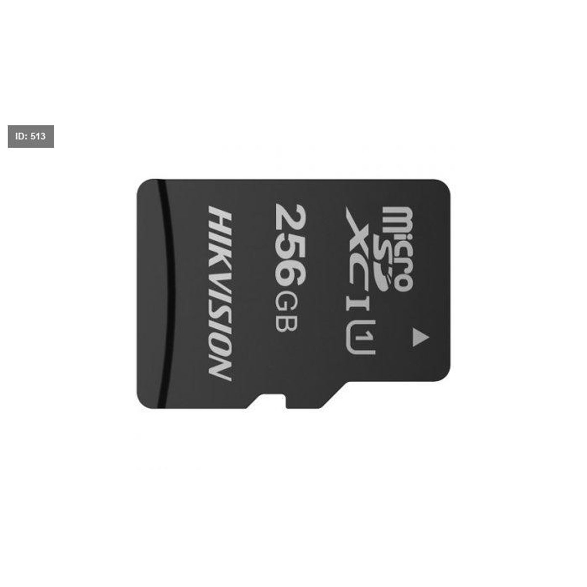 HS-TF-C1/256G MICRO SD CARD