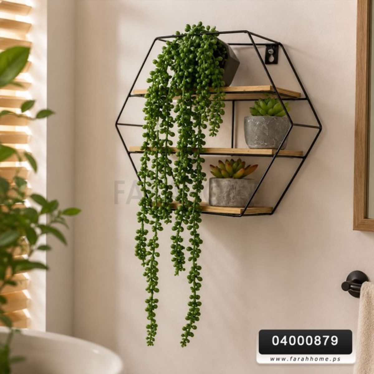 عرق حصرم طويل