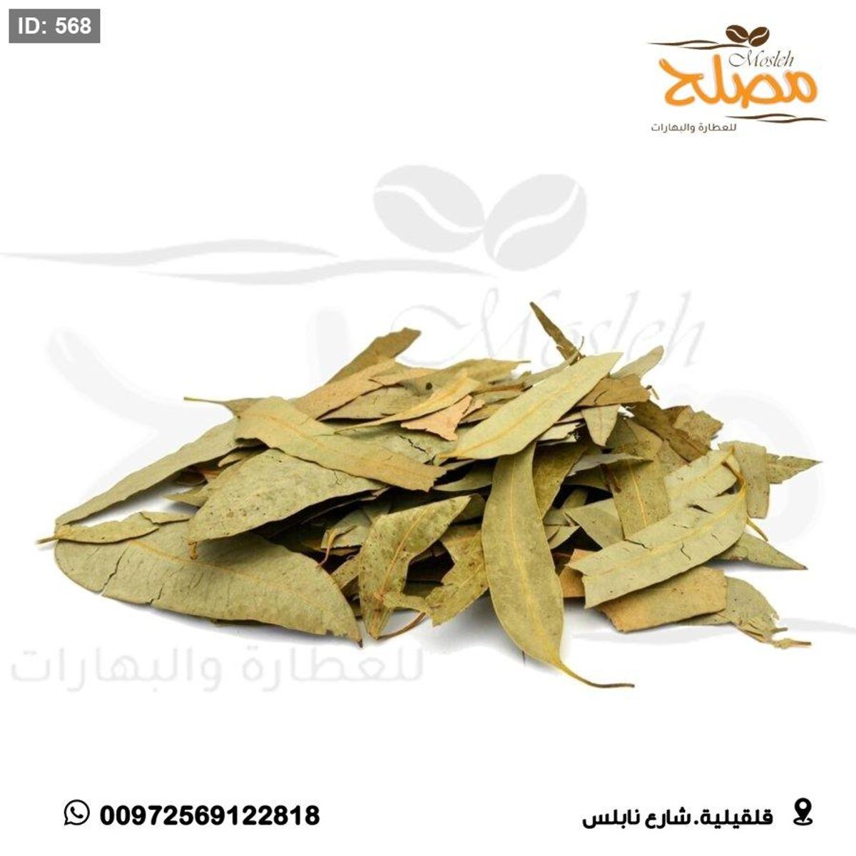ورق كافور