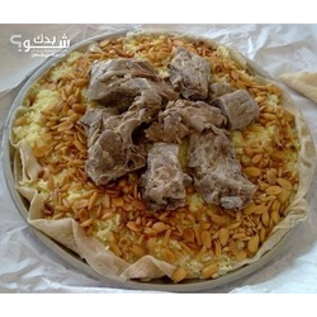 طباخ / شيف — عدنان وزوز