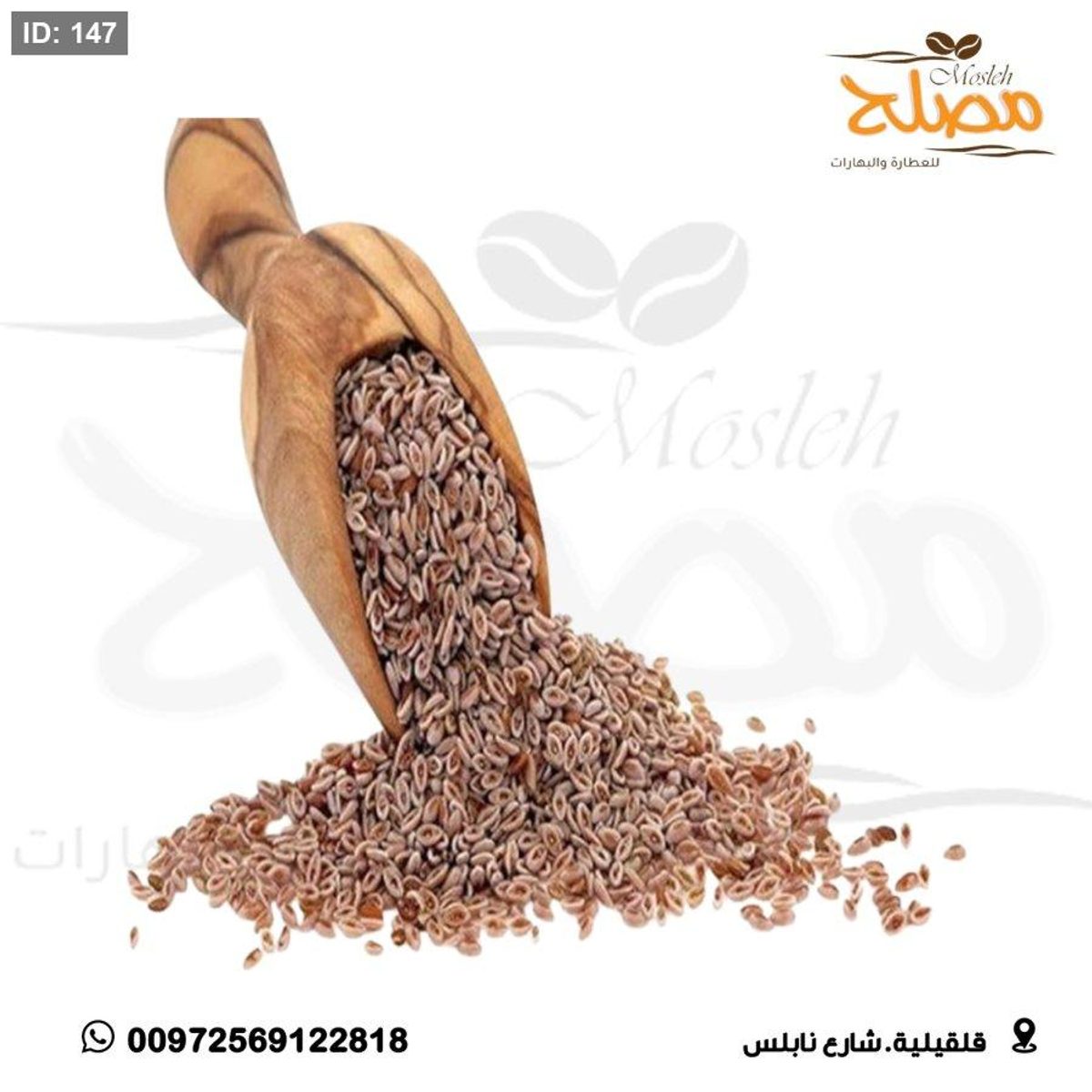 بزر قاطونة