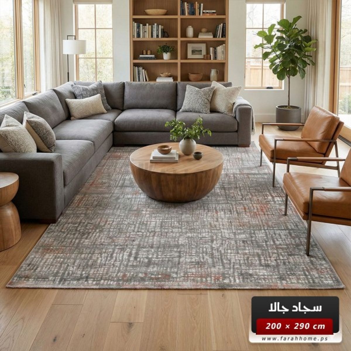 سجاد جالا مونس 200 × 290 GALA - لون سكني