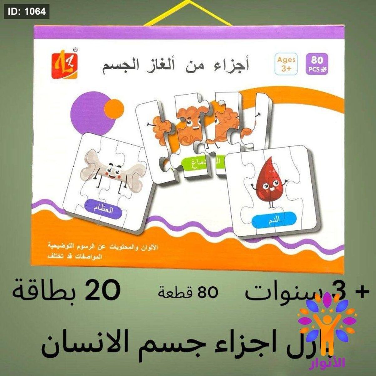 اجزاء من الغاز الجسم