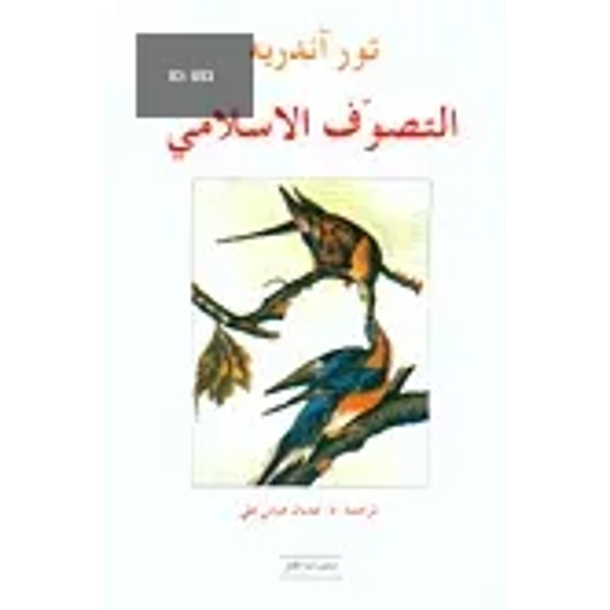 التصوف الإسلامي
