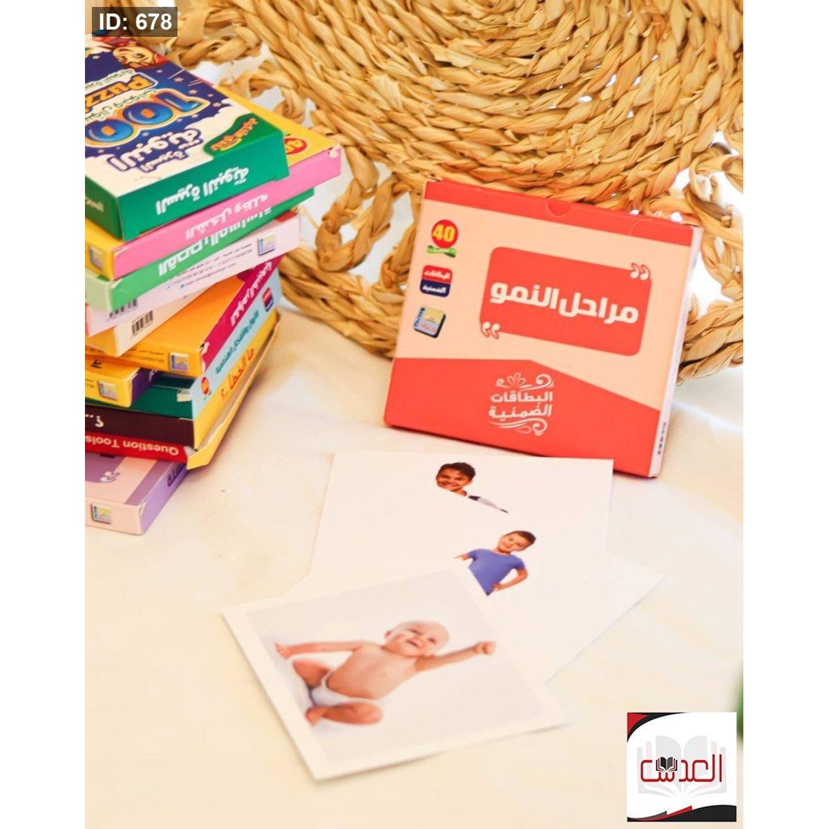 كروت - مراحل النمو