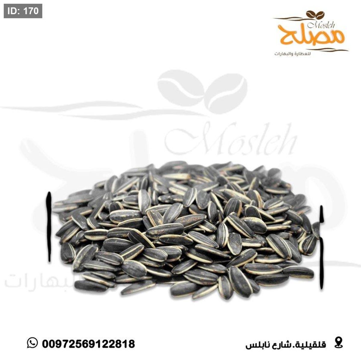 بزر شمس ني