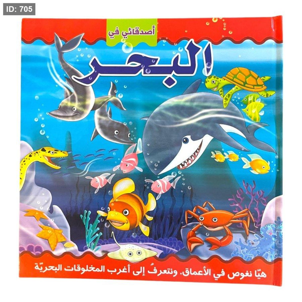 اصدقائي في البحر