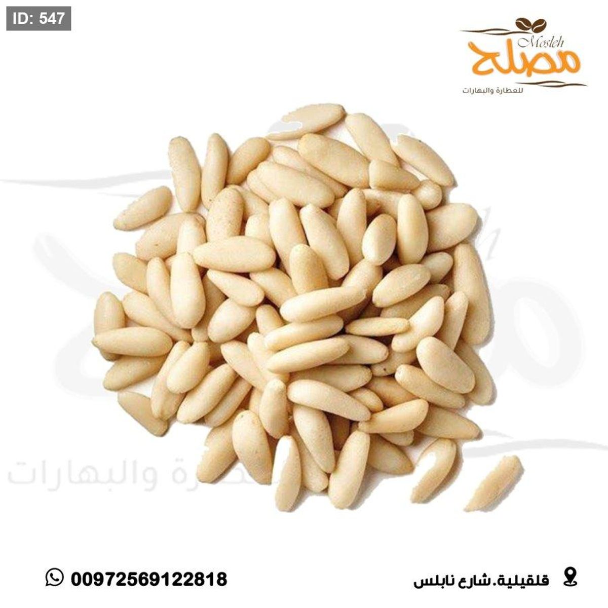 صنوبر تركي