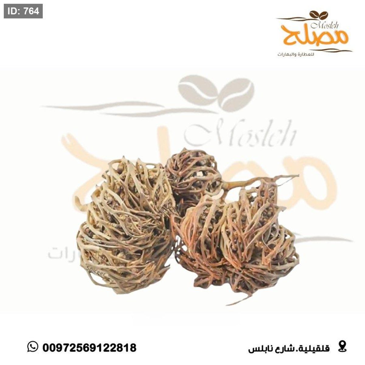 عشبة كف مريم