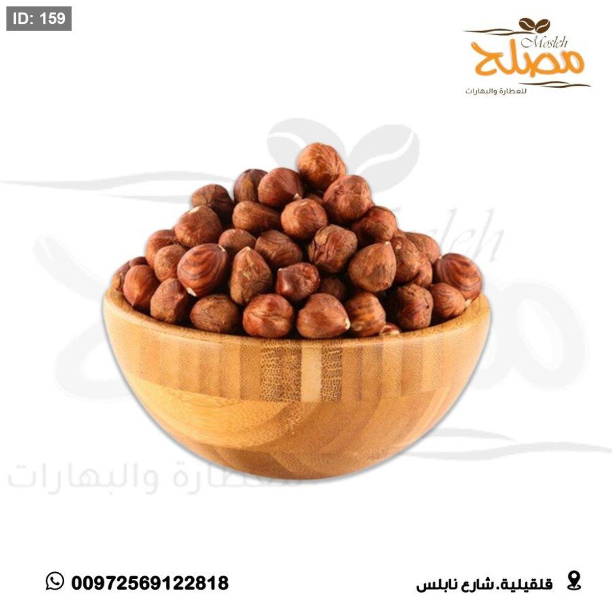 بندق ني