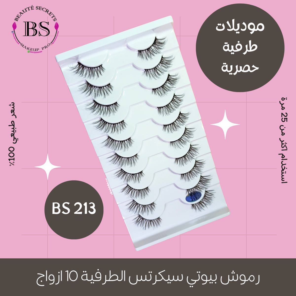 BS 213 - عين الغزال