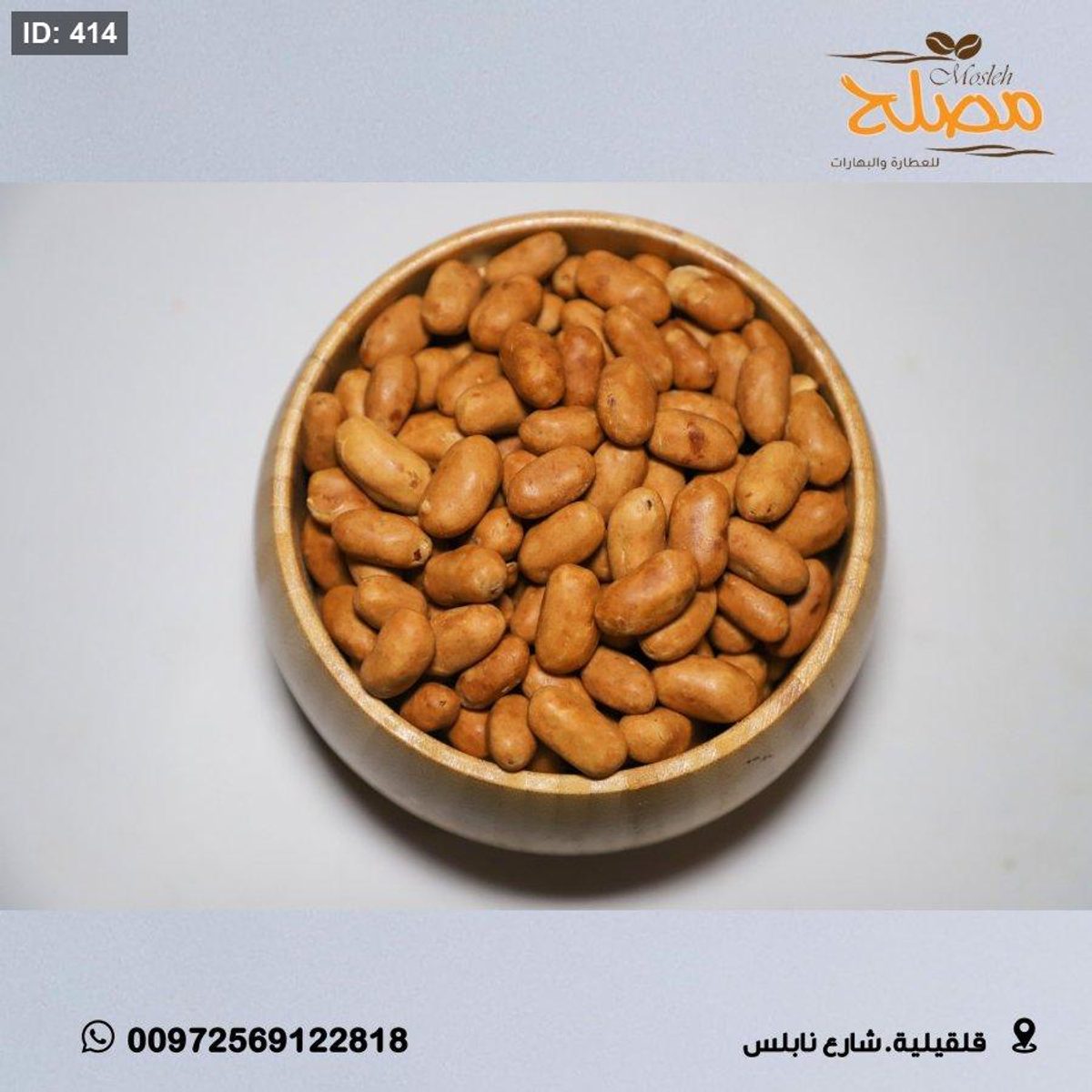 بندق برازيلي