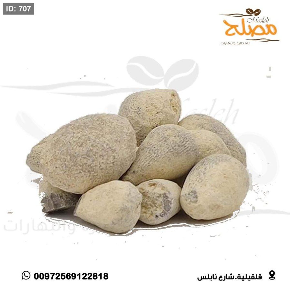 زيتونة بني اسرائيل