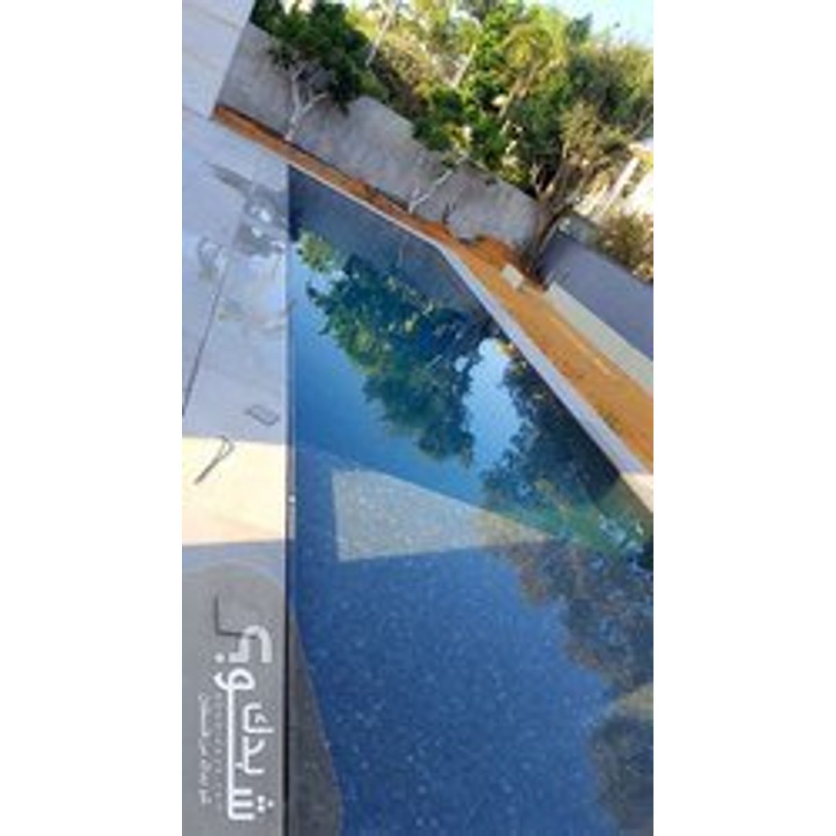 بليط — مشعل دويكات