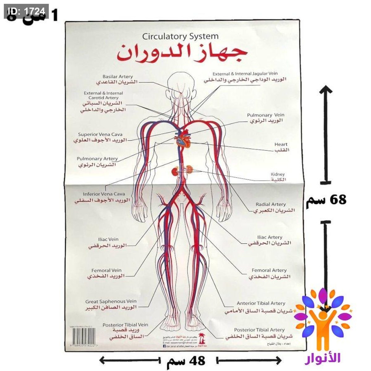 مجموعة لوحات جسم الانسان ( لوحات طبية )